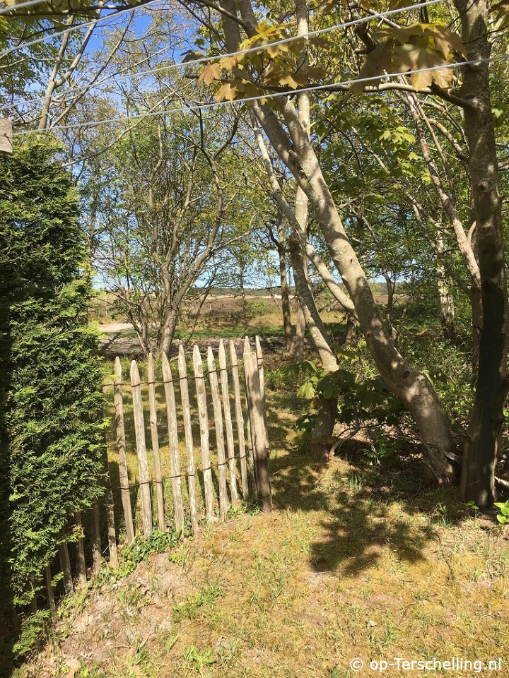 Omgeving Midsland-Noord